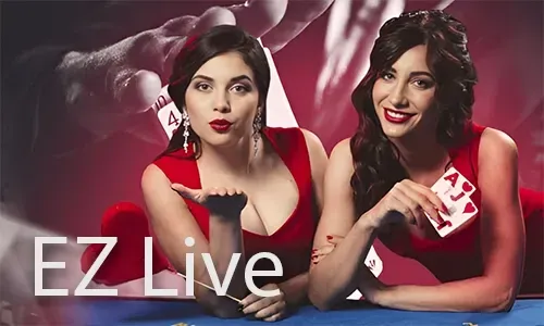 bigbunny live casino experience