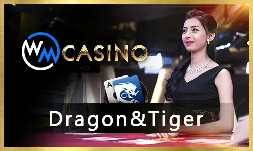 bigbunny online casino experience